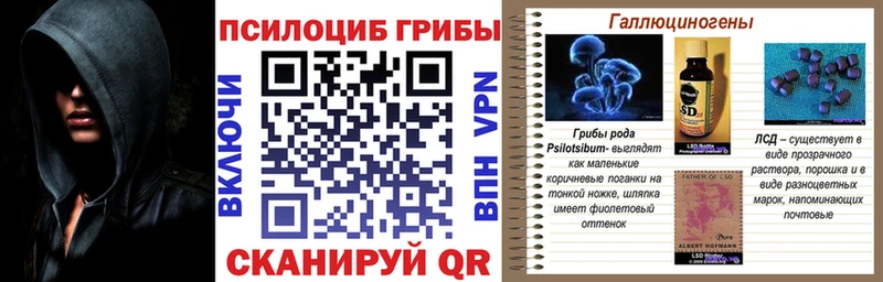 Галлюциногенные грибы GOLDEN TEACHER  Нурлат 