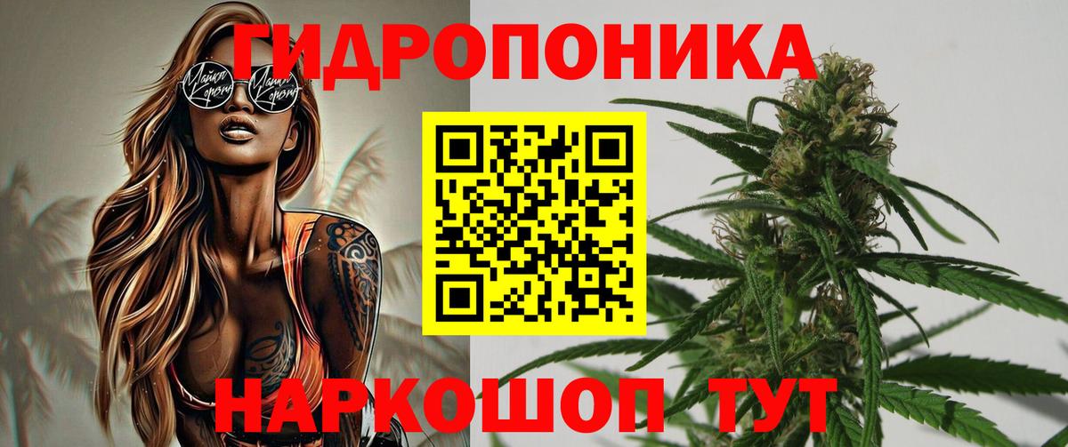 МАРИХУАНА конопля Нурлат